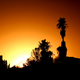 Image for article titled Shooting Challenge: Solstice